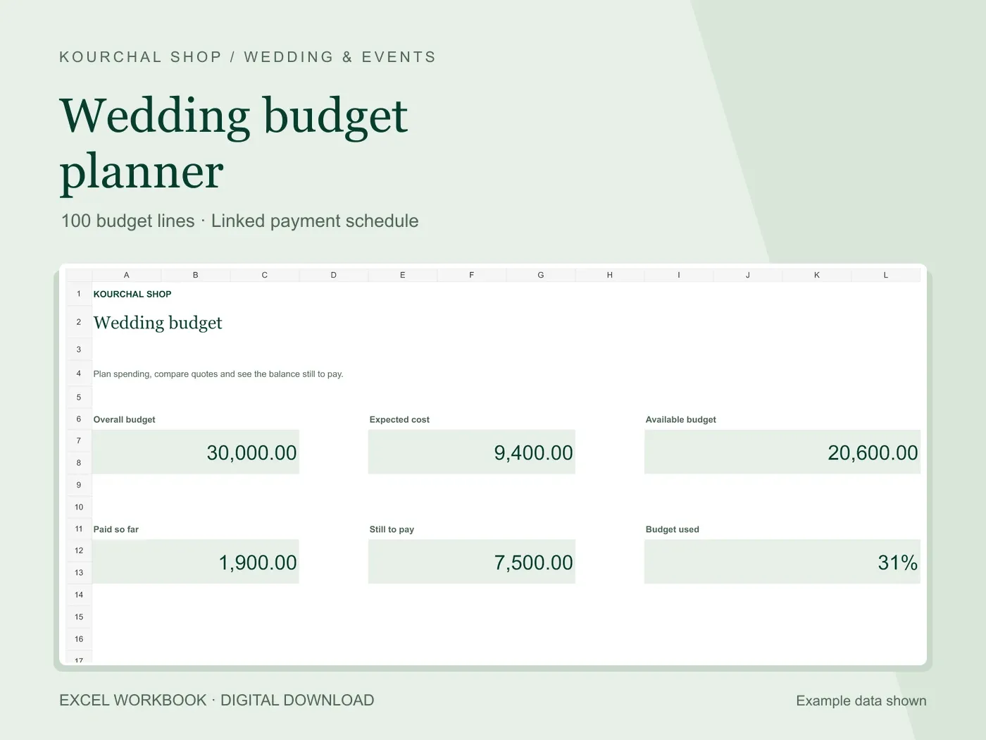 Real wedding budget planner preview